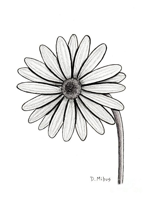 Marguerite Daisy Greeting Card featuring the drawing Black and White Marguerite Daisy by Donna Mibus