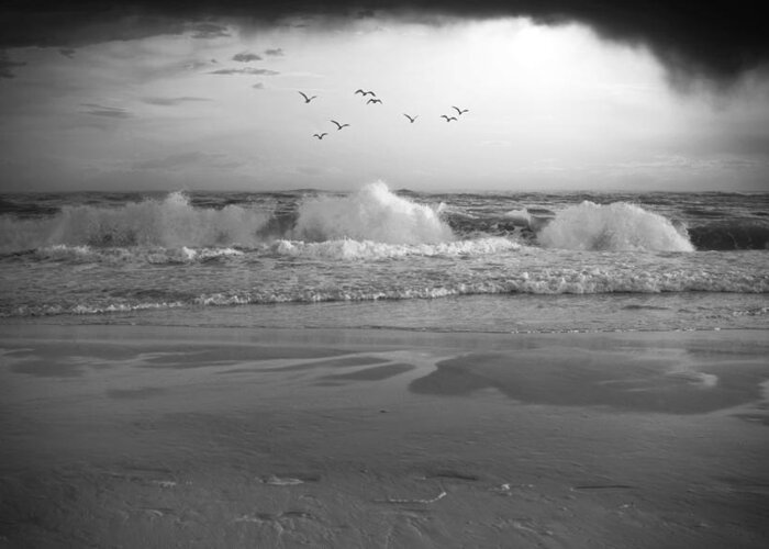 Ocean Greeting Card featuring the photograph Black and white Ocean Photo 164 by Lucie Dumas