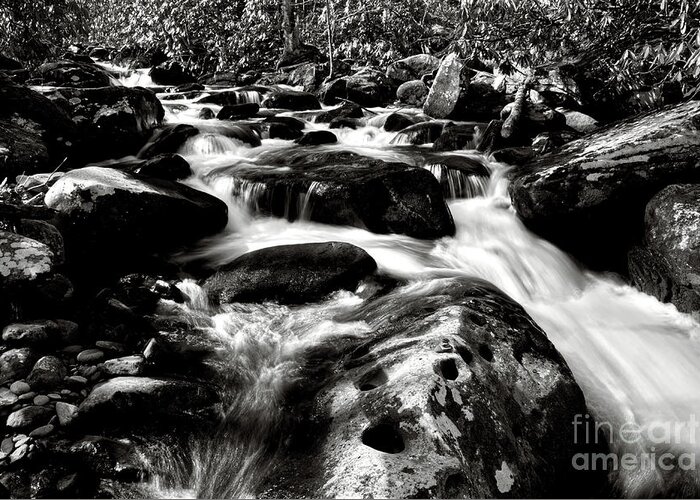 Nature Greeting Card featuring the photograph Black And White River 2 by Phil Perkins