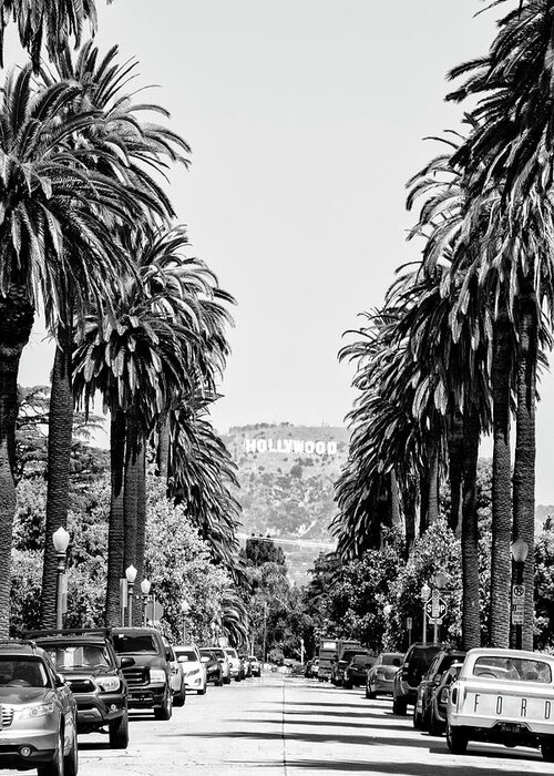 Palm Trees Greeting Card featuring the photograph Black California Series - Downtown Los Angeles by Philippe HUGONNARD