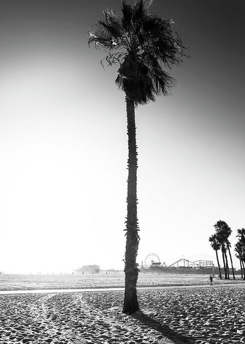 Palm Trees Greeting Card featuring the photograph Black California Series - Santa Monica Palm Tree by Philippe HUGONNARD