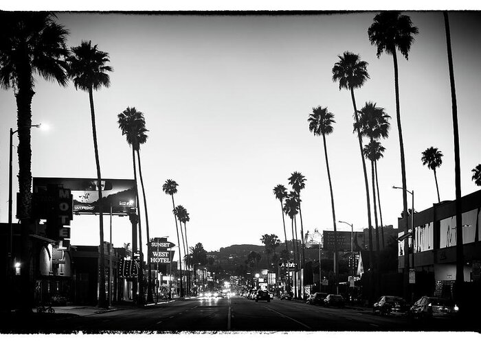 Los Angeles Greeting Card featuring the photograph Black California Series - Sunset Boulevard by Philippe HUGONNARD