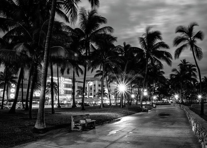 Florida Greeting Card featuring the photograph Black Florida Series - Miami Beach by night by Philippe HUGONNARD