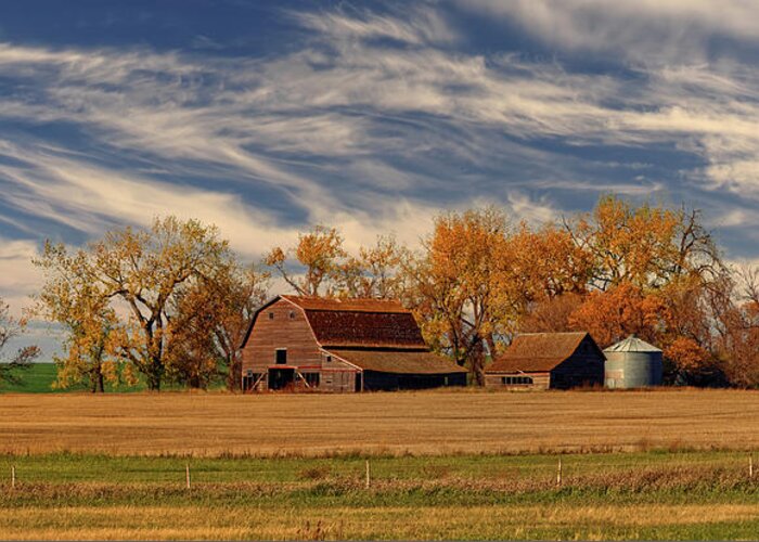 Blackmore Greeting Card featuring the photograph Blackmore Bygone - abandoned ND barn and homestead site by Peter Herman