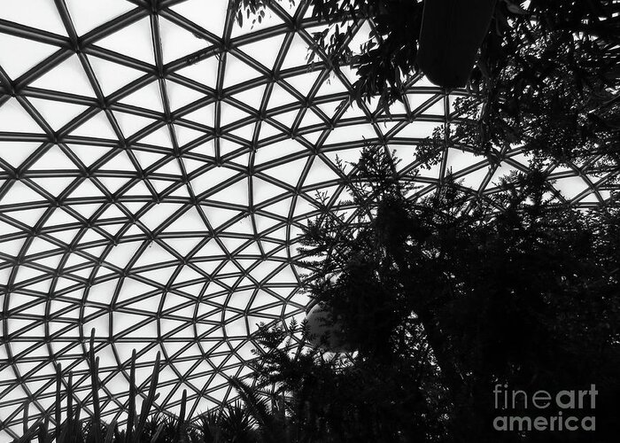 Architecture Greeting Card featuring the photograph Bloedel Roof by Mary Mikawoz