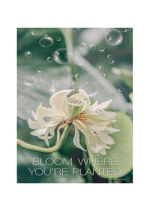 Bloom Greeting Card featuring the digital art Bloom Where You're Planted by Gail Marten