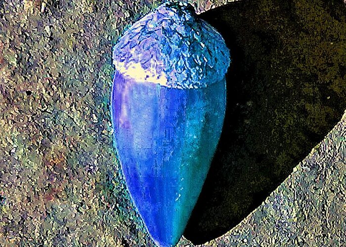 Blue Greeting Card featuring the photograph Blue Acorn by Andrew Lawrence