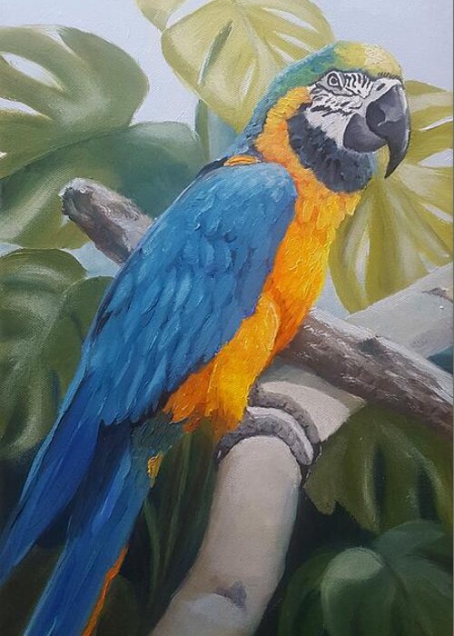 Blue And Gold Macaw Greeting Card featuring the painting Blue and Gold Macaw by Connie Rish