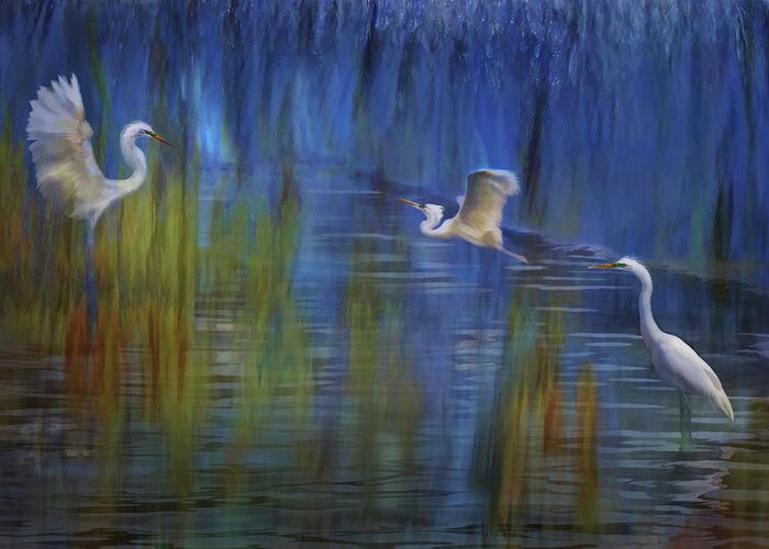 Egrets Greeting Card featuring the photograph Blue Bayou II by Melinda Hughes-Berland