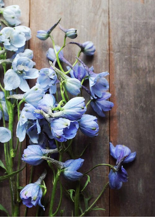 Flowers Greeting Card featuring the photograph Blue Delphiniums by Lupen Grainne