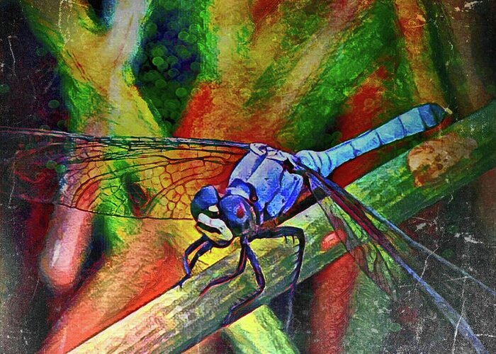 Colorful Greeting Card featuring the digital art Blue Dragonfly by David McKinney