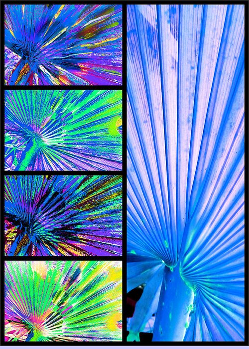 Palm Fans Greeting Card featuring the digital art Cool Blue Fans by Pamela Smale Williams