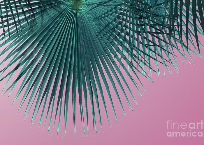Palm Leaf Greeting Card featuring the photograph Blue-green palm leaf and pink sky, summer season by Adriana Mueller