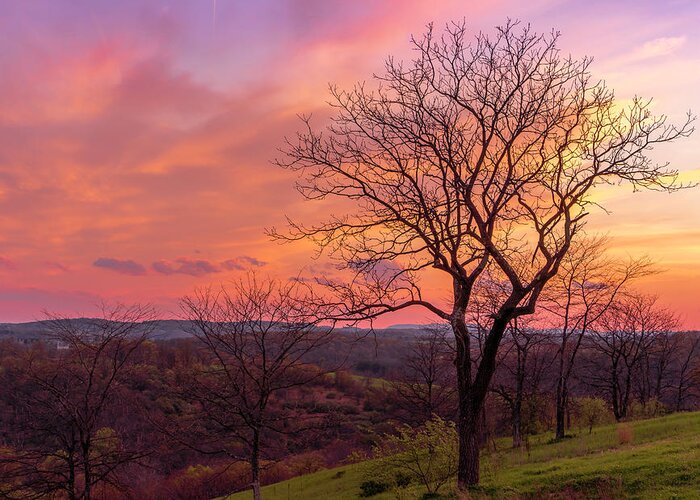 Sunset Greeting Card featuring the photograph Blue Hour Sunset Trexler Nature Preserve by Jason Fink