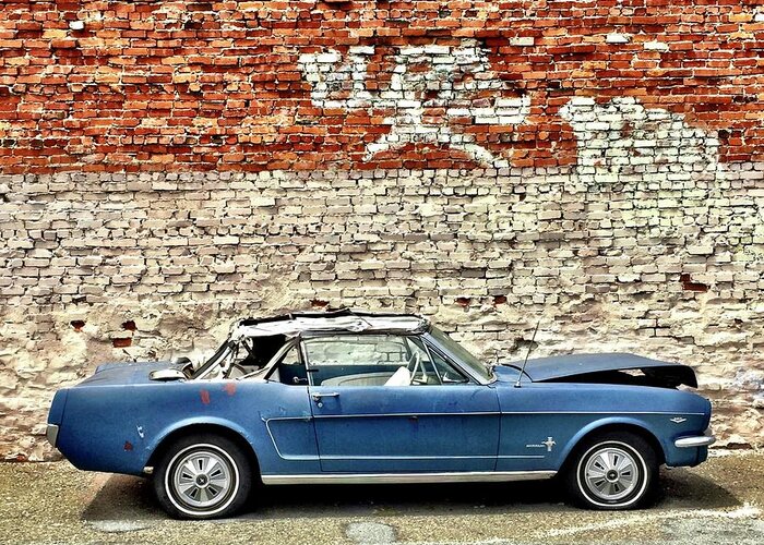  Greeting Card featuring the photograph Blue Mustang by Julie Gebhardt