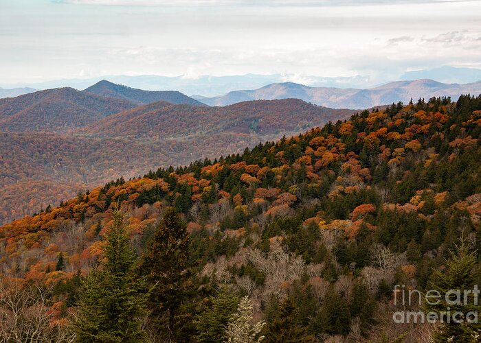 Blue Ridge Mountains Greeting Card featuring the photograph Blue Ridge Mountain Layers by Jayne Carney