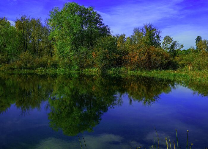 Reflection Greeting Card featuring the photograph Blue sky and trees reflected in still water by Jeff Swan