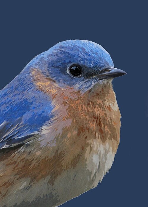 Bluebird Greeting Card featuring the mixed media Bluebird On Blue by Judy Cuddehe