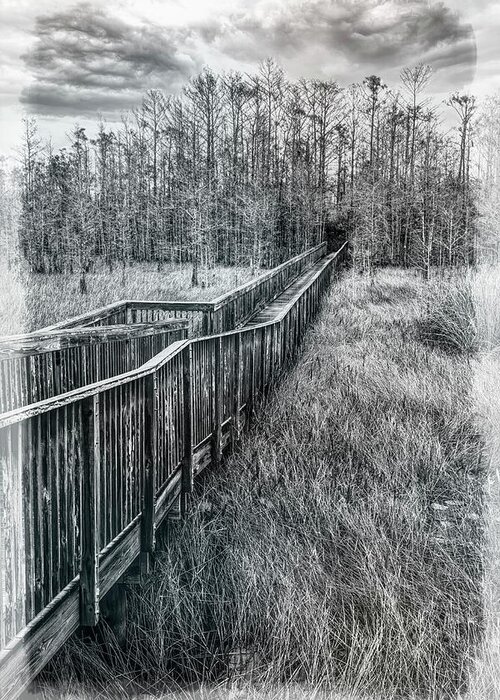 Clouds Greeting Card featuring the photograph Boardwalk over the Marsh in Black and White by Debra and Dave Vanderlaan