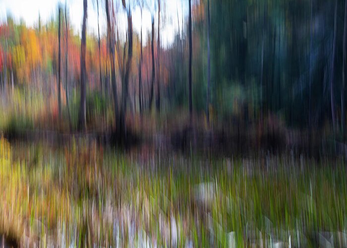 Icm Greeting Card featuring the photograph Bog Area In the Fall by Betty Pauwels