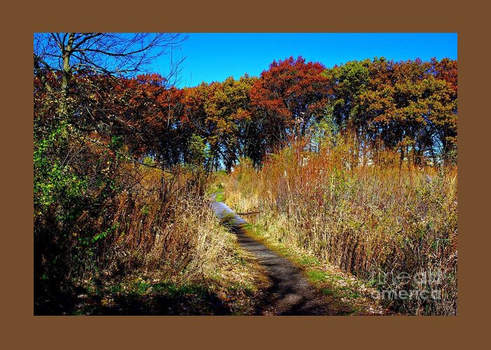 Landscape Photography Greeting Card featuring the photograph Bold Colors Down the Trail by Frank J Casella