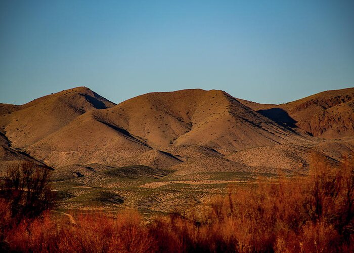 Copyright Elixir Images Greeting Card featuring the photograph Bosque Del Apache #4 by Santa Fe