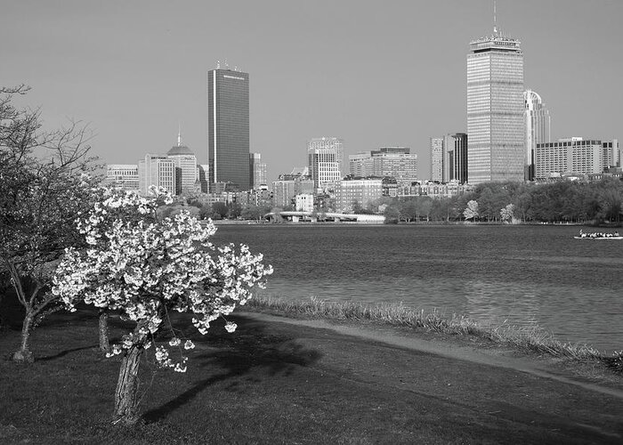 Boston Greeting Card featuring the photograph Boston Charles River on a Spring day Black and White by Toby McGuire