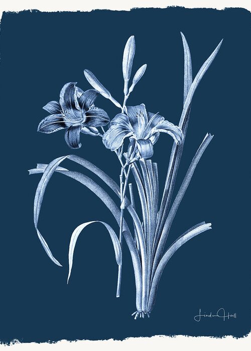 Digital Greeting Card featuring the digital art Botanical Cyanotype Series No. Six by Linda Lee Hall