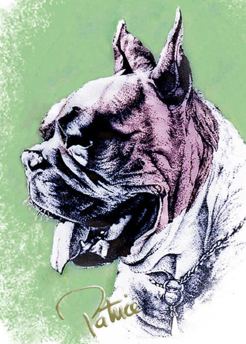 Pen & Ink Art Greeting Card featuring the painting Boxer Headstudy by Patrice Clarkson