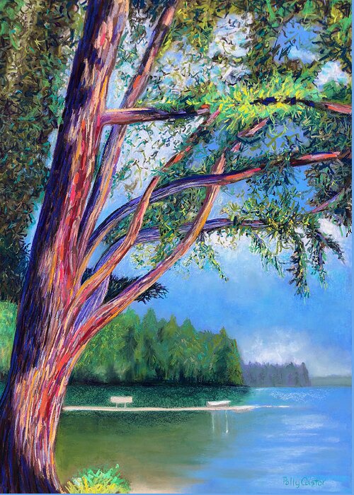 Plein Air Painting Greeting Card featuring the painting Braided Branches on Long Lake by Polly Castor