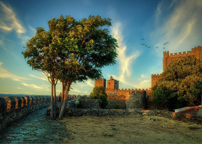 Portugal Greeting Card featuring the photograph Brarganza Castle by Micah Offman