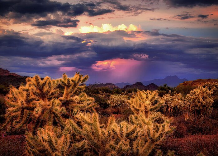 American Southwest Greeting Card featuring the photograph Break in the Heat by Rick Furmanek