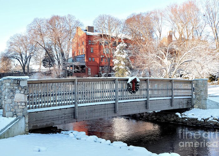 Brewster Gardens Greeting Card featuring the photograph Brewster Gardens in Winter by Janice Drew