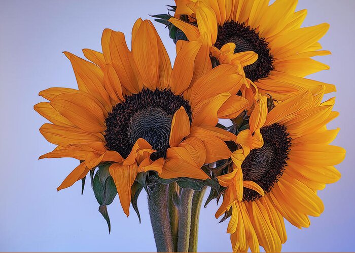 Petals Greeting Card featuring the photograph Bright and Beautiful Sunflowers 6 by Lindsay Thomson