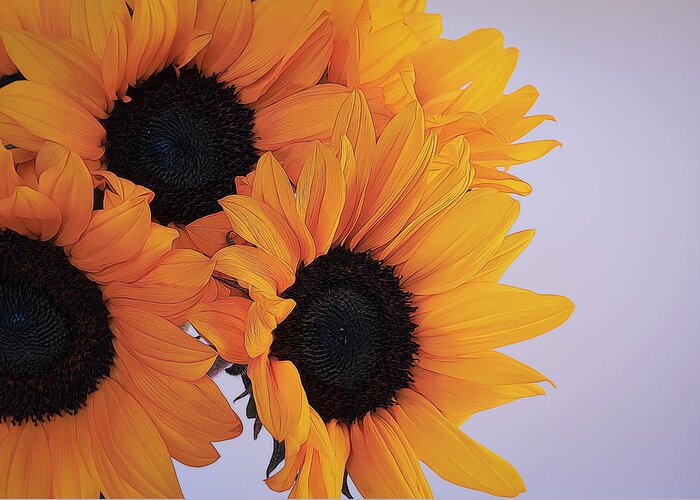 Petals Greeting Card featuring the photograph Bright and Beautiful Sunflowers 7 by Lindsay Thomson
