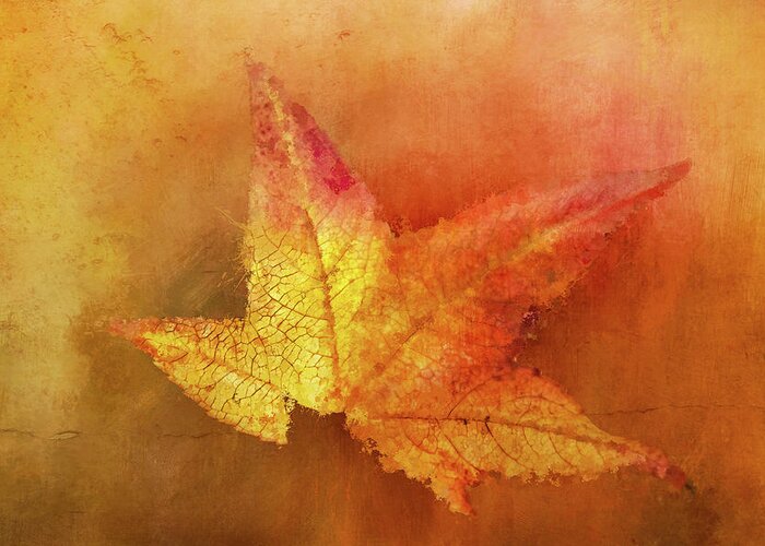 Photography Greeting Card featuring the digital art Bright Autumn Leaf by Terry Davis