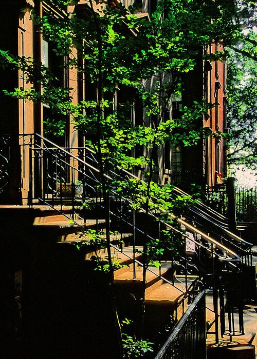 Vertical Greeting Card featuring the photograph Brownstones and Backlit Trees in Summer - A Brooklyn Heights Impression by Steve Ember