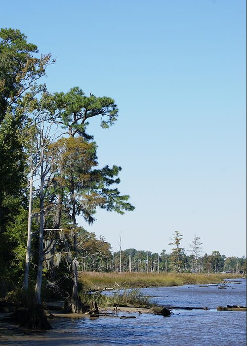  Greeting Card featuring the photograph Brunswick River by Heather E Harman