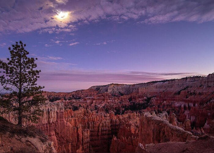 Utah Greeting Card featuring the photograph Bryce Canyon by Bryan Xavier
