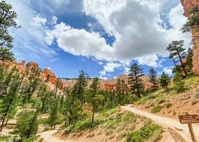 Bryce Canyon National Greeting Card featuring the photograph Bryce Canyon Hiking by Jessica Yurinko