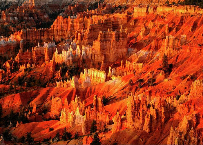 Bryce Canyon Greeting Card featuring the photograph Fire Dance - Bryce Canyon National Park. Utah by Earth And Spirit