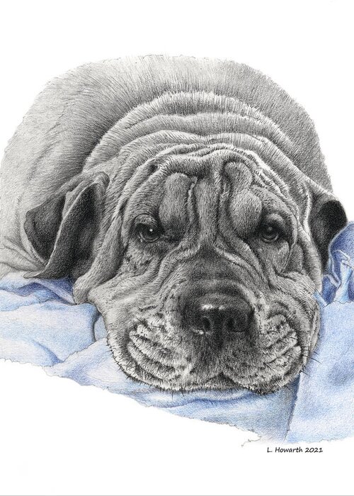 Dog Greeting Card featuring the drawing Bubba by Louise Howarth