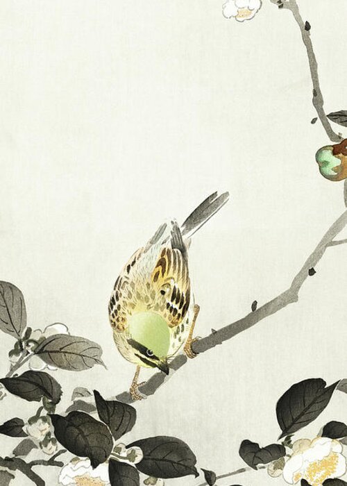 Bird Greeting Card featuring the painting Bunting on blossom branch by Ohara Koson