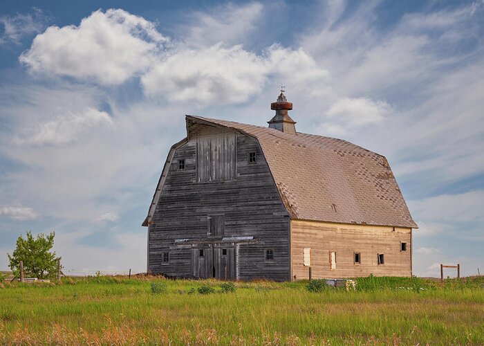 Barn Greeting Card featuring the photograph Busy Bee Barn by Darren White