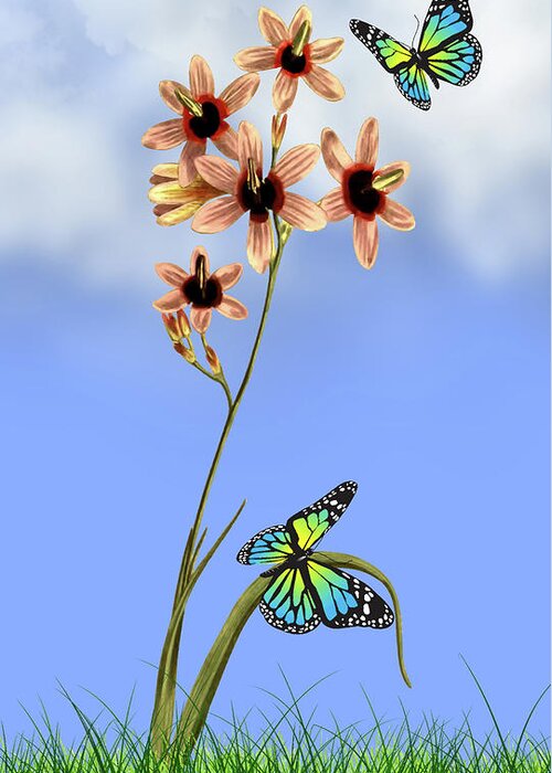Nature Greeting Card featuring the digital art Butterflies In The Garden Pane 1 Ixia Columellaris Flower by David Dehner