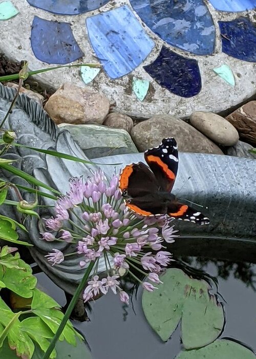 Butterfly Greeting Card featuring the photograph Butterfly garden by Lisa Mutch