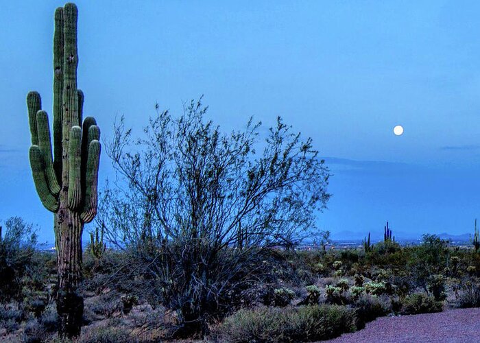 Full Moon Greeting Card featuring the photograph Cactus Moonrise 48x by Randy Jackson