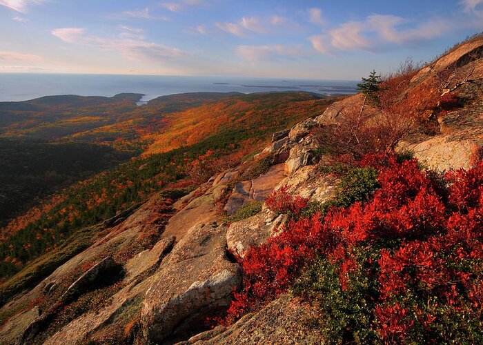 Acadia Greeting Card featuring the photograph Cadillac Mountain Sunrise at Acadia National Park by Jetson Nguyen