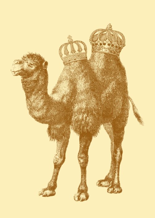 Camel Greeting Card featuring the digital art Camel Kingdom by Madame Memento