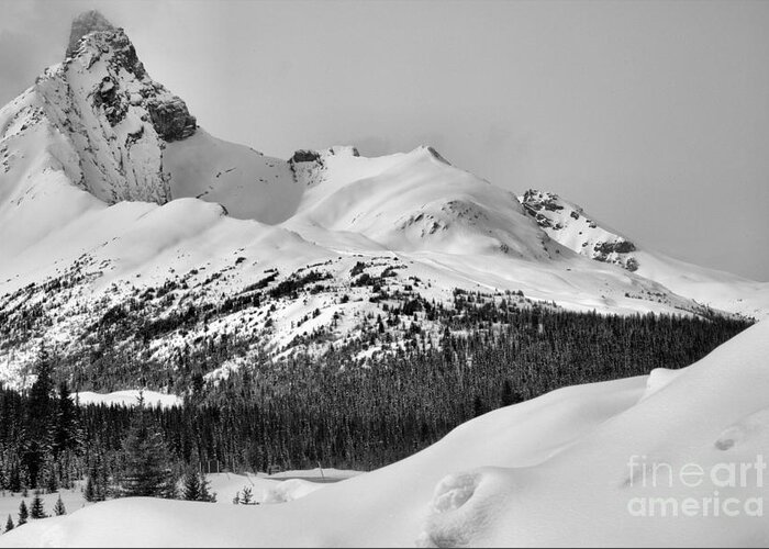 Canadian Greeting Card featuring the photograph Canadian Rockies Winter Peak Black And White by Adam Jewell